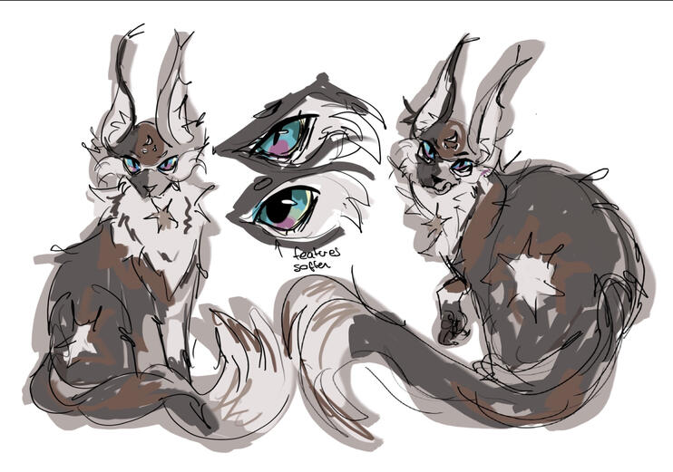 warriors cat oc